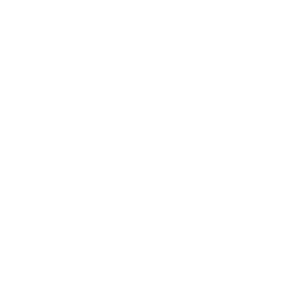 Noble Edge navbar logo